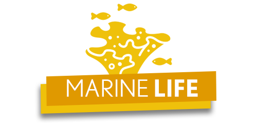 Marine Life